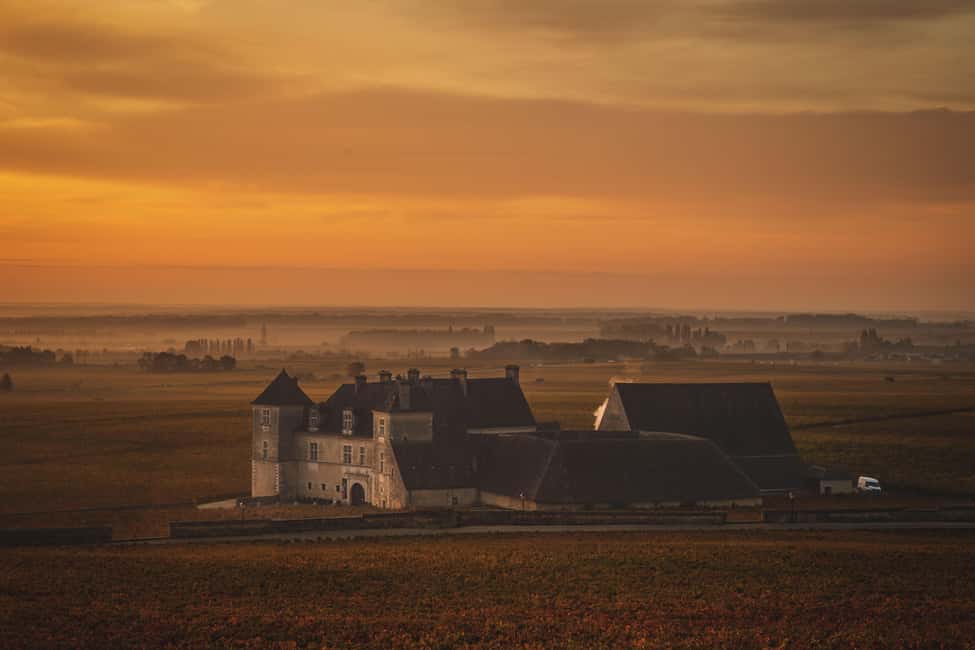 Private Wine Tour in Côte de Nuits and Côte de Beaune - The first tasting in the Côte de Nuits