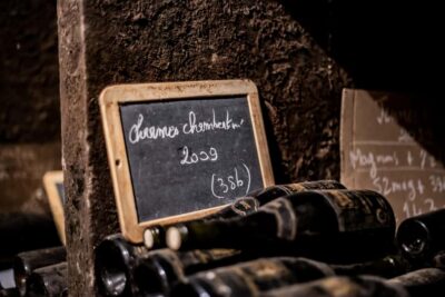 Private Wine Tour in Côte de Nuits and Côte de Beaune - The Route des Grands Crus and Burgundy’s famous names