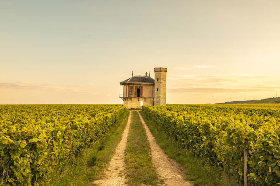 Private Wine Tour in Côte de Nuits and Côte de Beaune - The Côte de Beaune, Meursault, and Montrachet