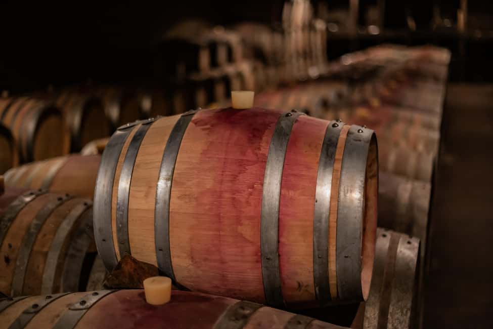 Private Wine Tour in Côte de Nuits and Côte de Beaune - Jeremy’s role makes the day easier to follow
