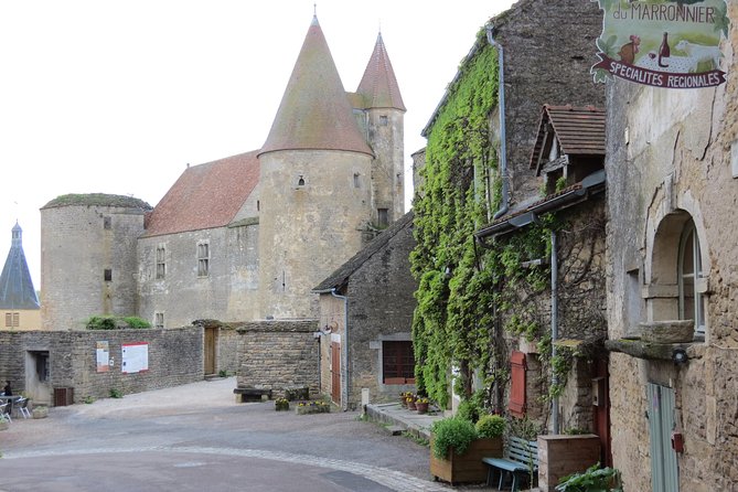Private Wine Tour to Burgundy Region from Paris - Key points to know before booking