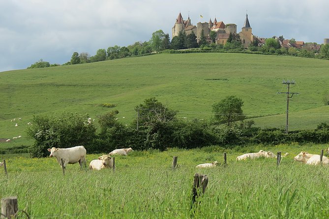 Private Wine Tour to Burgundy Region from Paris - Why Burgundy is worth the long ride from Paris