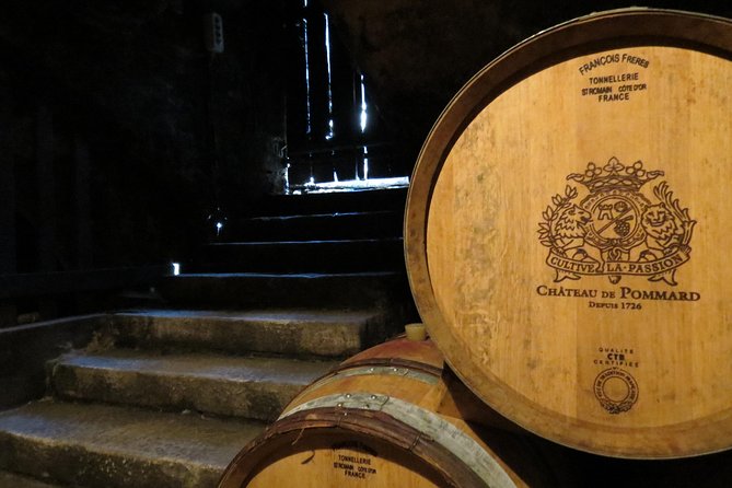 Private Wine Tour to Burgundy Region from Paris - The small-producer option