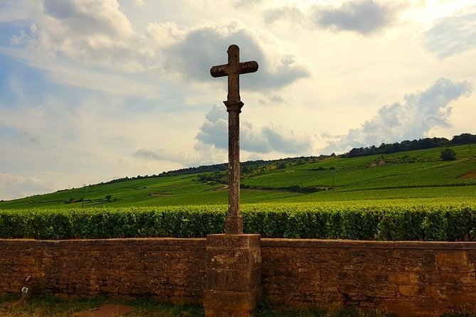 Private Wine Tour to Burgundy Region from Paris - A private vehicle changes the whole day