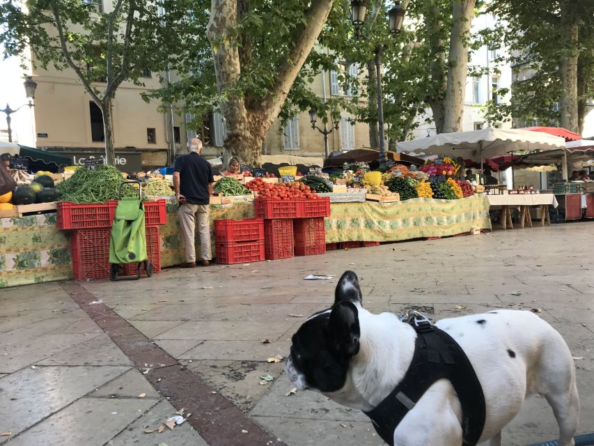 Provencal Market Walking Tour with Tastings - A realistic walking pace for shopping brains