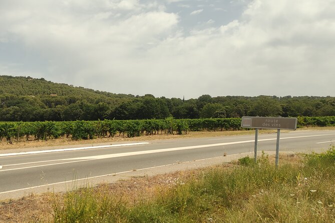 Provençal Morning Farmers Market & Food Discovery Tour - Why the local guide matters in Aix