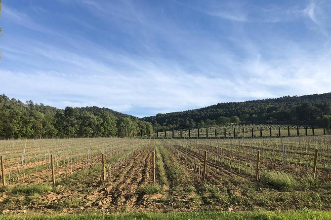 Provence at your own pace and at your leisure! - Gordes, Sénanque, and Roussillon in the Luberon