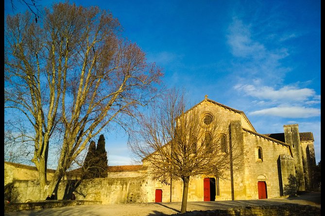 Provence at your own pace and at your leisure! - Avignon, the Palais des Papes, and a possible cooking class