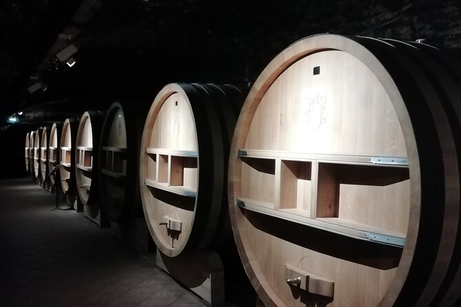 Provence Cru Wine Small-Group Half-Day Tour from Avignon - Why this half-day Provence Cru tour fits Avignon so well