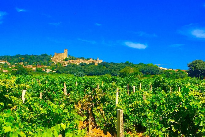 Provence Cru Wine Small-Group Half-Day Tour from Avignon - Gigondas stop: Roman roots, modern wine-making