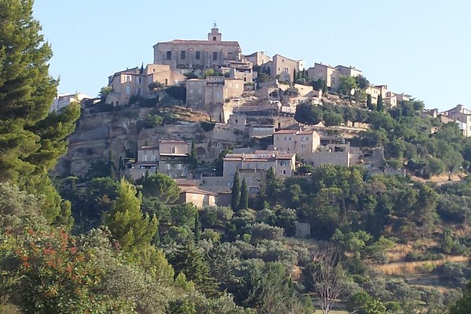 Provence Highlights Full-Day Tour from Avignon - Small group van comfort and the guide factor (Nathalie, Kelsey, Anne)