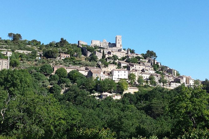 Provence Highlights Full-Day Tour from Avignon - Stop 3: Senanque Abbey’s lavender photo stop (only in season)