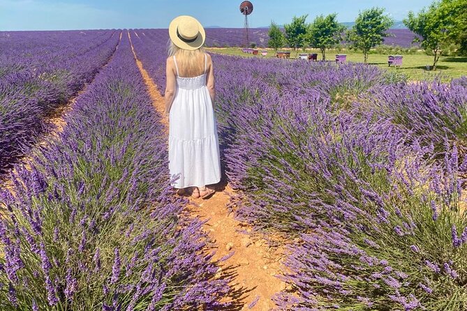 Provence Lavender Fields Tour from Aix-en-Provence - Meeting point in Aix and getting to the fields