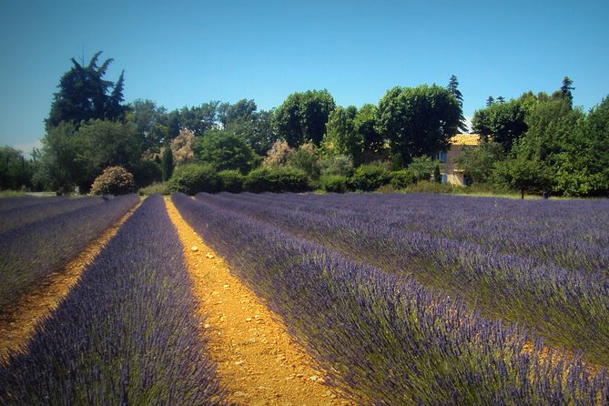 Provence Lavender Fields Tour from Aix-en-Provence - Moustiers Sainte-Marie: village time without killing your day