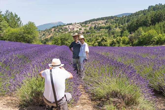 Provence Lavender Full Day Tour from Avignon - Key points that matter before you pick a date