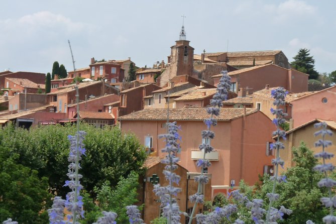 Provence Lavender Full Day Tour from Avignon - Why a small-group lavender day works better from Avignon