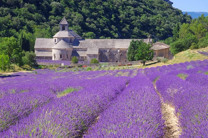 Provence Lavender Full Day Tour from Avignon - Before you go: the bloom window changes what you see