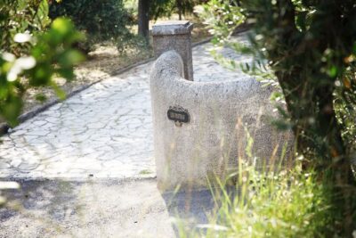 Provence Olive Harvest - The property tour beyond the olive grove