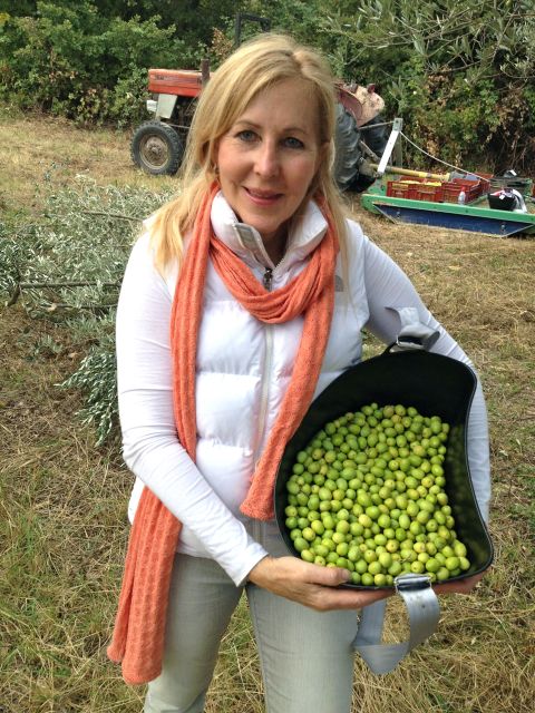 Provence Olive Harvest - Choosing the 10:30 or 14:00 start