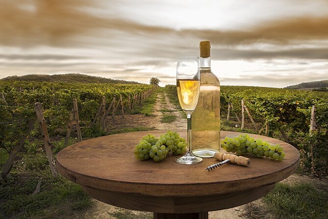 Provence Organic Wine Tasting Half Day Tour from Nice - Provence Organic Wine Tasting from Nice: the vibe you’re signing up for