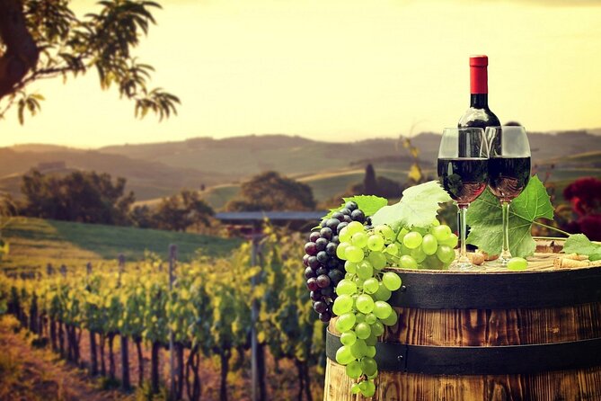 Provence Organic Wine Tasting Half Day Tour from Nice - Getting there from Nice: pickup, timing, and how the group works