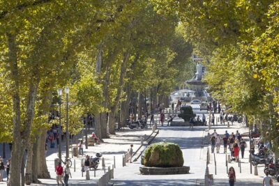 Provence, Vineyards and Lavender Fields Private Day Trip - Three hours in Aix-en-Provence