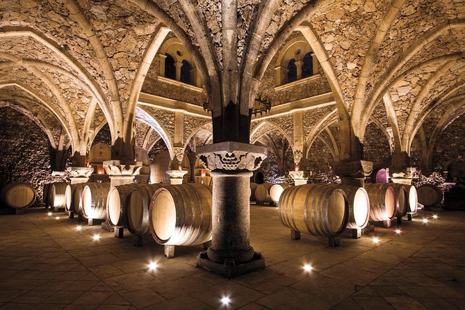 Provence Wine Tour - Private Day Tour from Nice - Pickup and driving logistics from Nice: less stress, more sip time