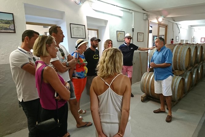 Provence Wine Tour - Private Day Tour from Nice - Guides and how the day feels: expert talk, human pace