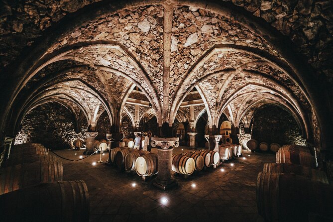 Provence Wine Tour - Small Group Tour from Nice - Lunch After the First Winery: Budget and Practical Tips