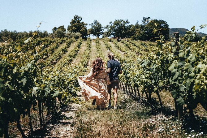Provence Wine Tour - Small Group Tour from Nice - Price and Value: Is $187.53 Worth It?