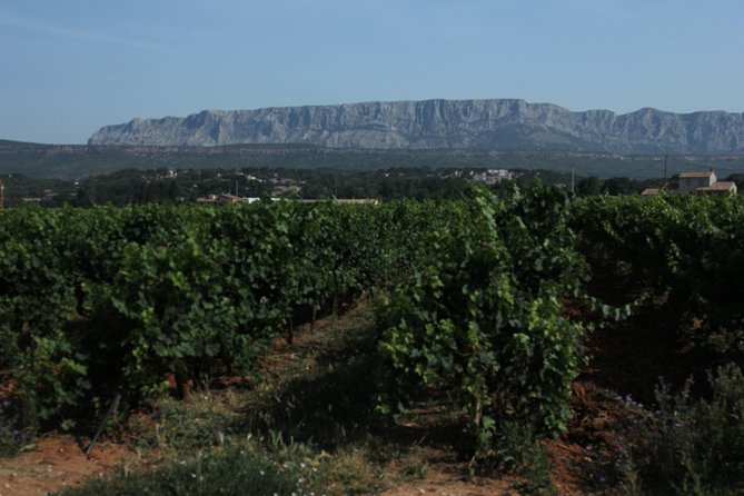 Provence Wineries and Luberon Villages Day Trip from Aix-en-Provence - Aix Snack Stop: A Realistic Break in the Middle of the Day