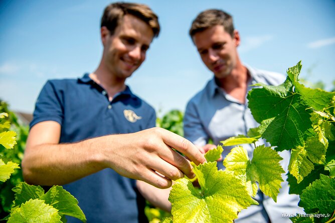 Reims afternoon tour Champagne and family growers - A 4.5-Hour Champagne Afternoon That Actually Feels Manageable