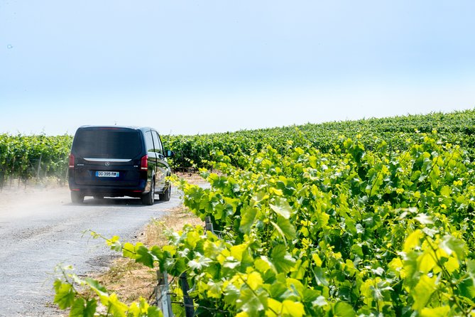 Reims afternoon tour Champagne and family growers - Hautvillers Village Drive: The Scenic Time in Between Tastings