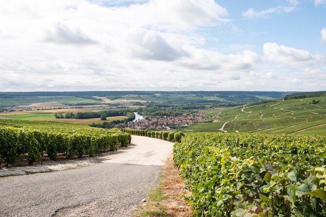 Reims afternoon tour Champagne and family growers - Who This Tour Fits Best (and Who Should Rethink)