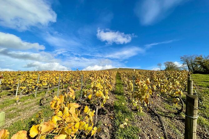 Reims or Epernay: Full day Champagne Mumm, family grower & lunch - How the Small-Group Format Changes Everything