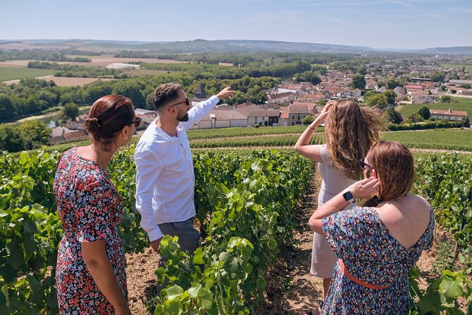 Reims or Epernay: Full day Veuve Clicquot family grower & lunch - Key things that make this tour work