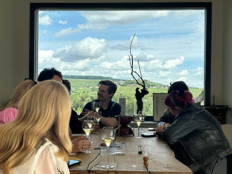 Reims or Epernay: Short day family growers & lunch - Hautvillers, Dom Pérignon, and the vineyard view