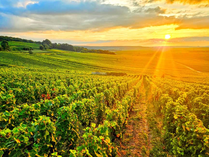 Reims: Veuve Clicquot Tasting Private Tour in Champagne - Key points at a glance