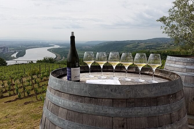 Rhône Valley Wine Tasting Private Day Tour from Lyon - Private Rhône Valley wine day from Lyon: what you’re really buying