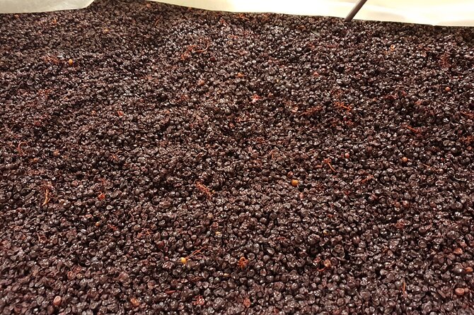 Rhône Valley Wine Tasting Private Day Tour from Lyon - Terroir talk that actually helps you taste better