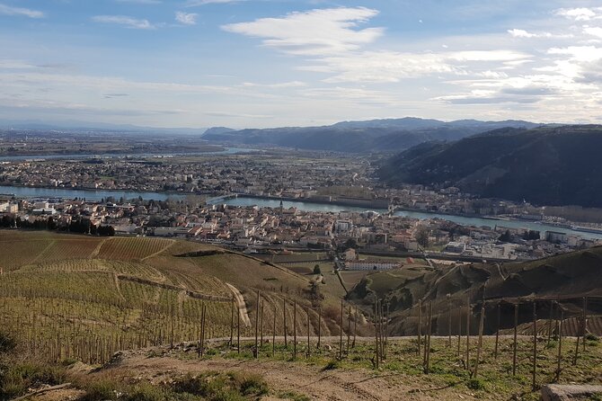 Rhône Valley Wine Tasting Private Day Tour from Lyon - Au Tour Du Vin at the start: Syrah and Viognier with a hillside view