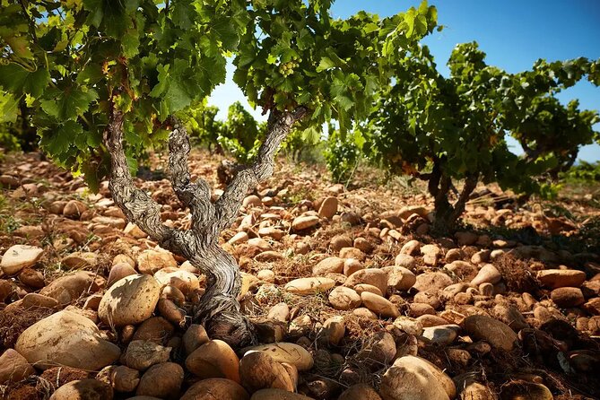 Roman Heritage & Wine Legacy - A practical way to mix wine country and Roman engineering