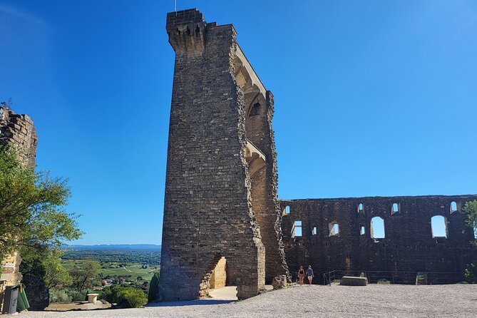 Roman Heritage & Wine Legacy - Pont du Gard: your 1-hour walk through UNESCO Roman engineering