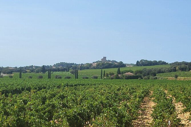 Roman Heritage & Wine Legacy - Price and value: is $113.84 a fair deal?