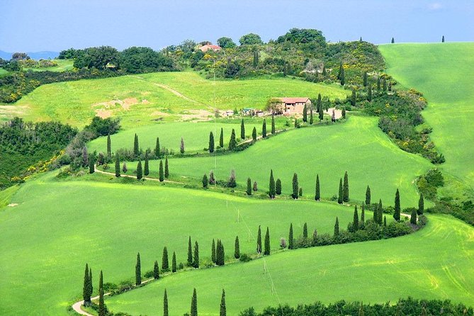 Romantic Vespa Tour and Wine Tasting - The Vespa ride through Val d’Orcia