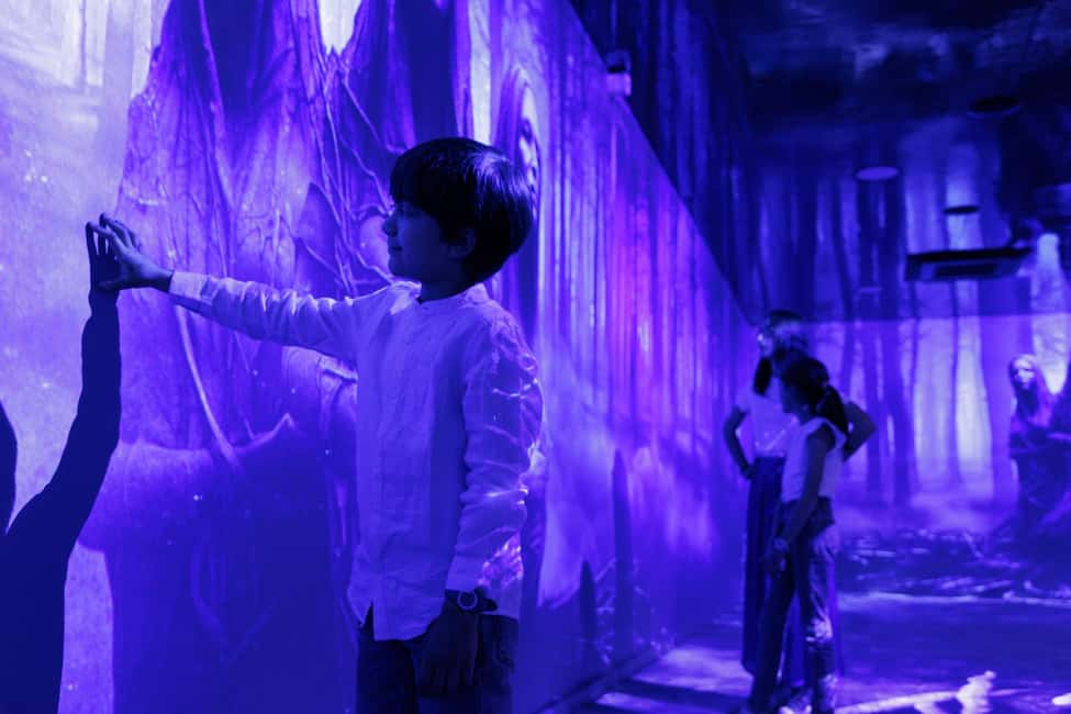 Rouen : Museum Immersive Viking Experience - Price and Value: Is $18 a Fair Deal?
