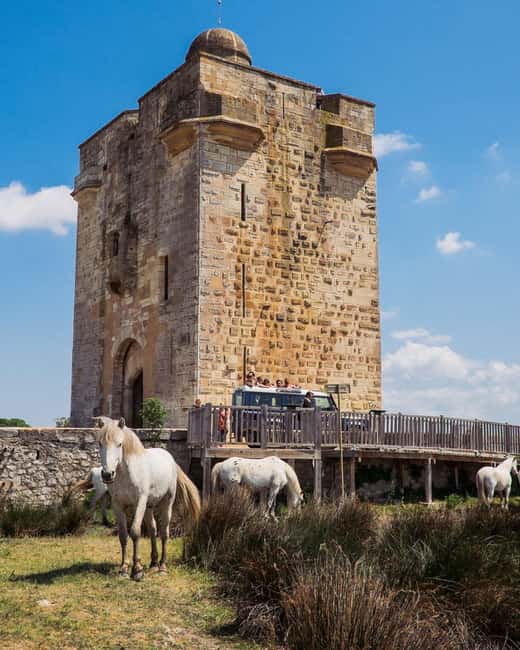 Safari 4x4 in Camargue / VIP Tour 3h30 / Grau du Roi - Why a VIP 4x4 safari works so well in Camargue