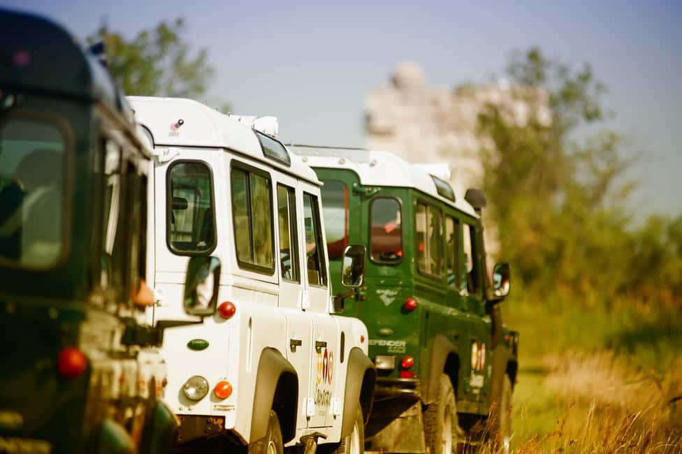 Safari 4x4 in Camargue / VIP Tour 3h30 / Grau du Roi - Manade stop: bulls, horses, and bull breeding culture