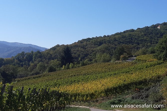 Safari-Tour Villages and vineyard, 1/2 day afternoon - Small group advantage: easier conversation, better pace