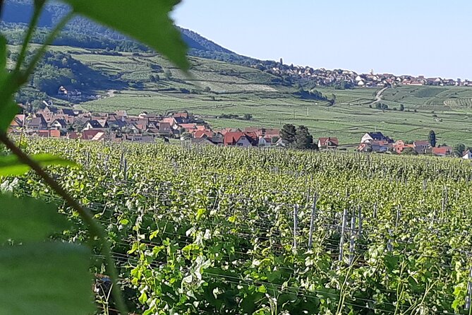 Safari-Tour Villages and vineyard, 1/2 day afternoon - Eguisheim: walking the storybook streets for about 45 minutes